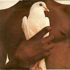 Meet your Posher, Genesi